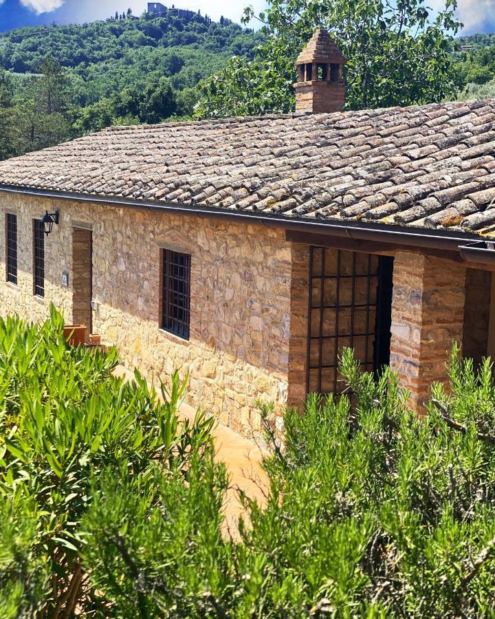 Tenuta Lupinari 부시네 외부 사진